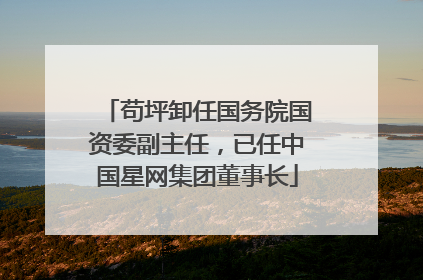 苟坪卸任国务院国资委副主任，已任中国星网集团董事长