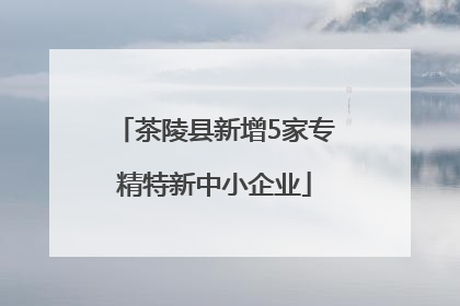 茶陵县新增5家专精特新中小企业