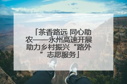 茶香路远 同心助农——永州高速开展助力乡村振兴“路外”志愿服务