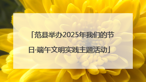 范县举办2025年我们的节日·端午文明实践主题活动