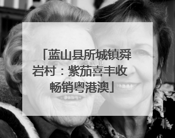 蓝山县所城镇舜岩村：紫茄喜丰收 畅销粤港澳