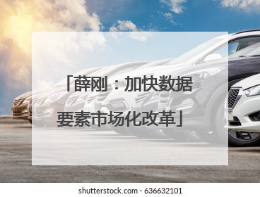 薛刚：加快数据要素市场化改革