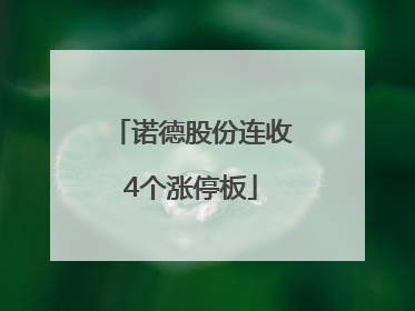 诺德股份连收4个涨停板