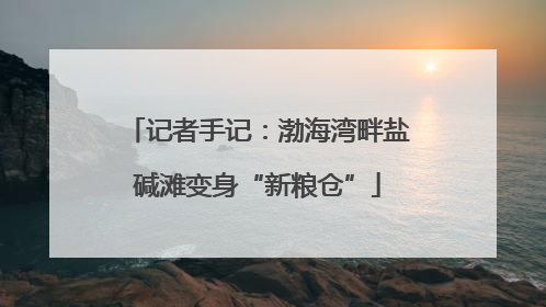 记者手记：渤海湾畔盐碱滩变身“新粮仓”