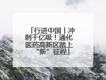 行进中国丨冲刺千亿级！通化医药高新区踏上“新”征程