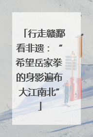 行走赣鄱看非遗：“希望岳家拳的身影遍布大江南北”