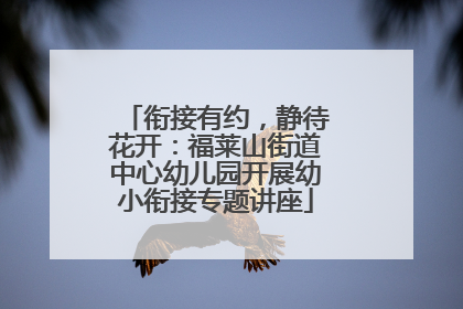 衔接有约，静待花开：福莱山街道中心幼儿园开展幼小衔接专题讲座