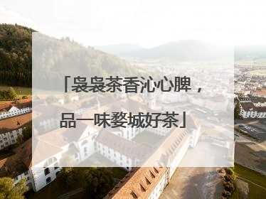 袅袅茶香沁心脾，品一味婺城好茶