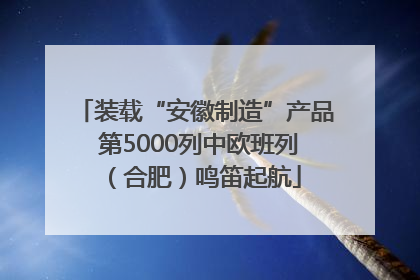 装载“安徽制造”产品 第5000列中欧班列（合肥）鸣笛起航