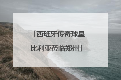 西班牙传奇球星 比利亚莅临郑州