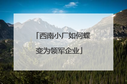 西南小厂如何蝶变为领军企业