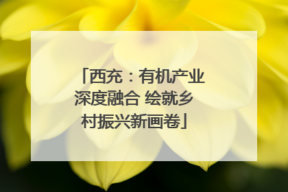 西充：有机产业深度融合 绘就乡村振兴新画卷