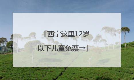 西宁这里12岁以下儿童免票→