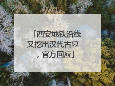 西安地铁沿线又挖出汉代古墓，官方回应
