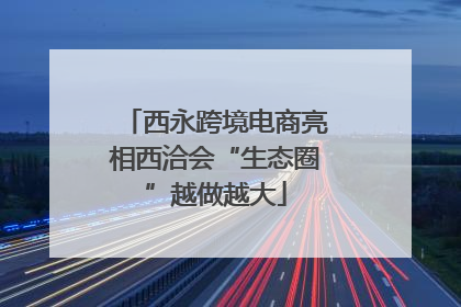 西永跨境电商亮相西洽会“生态圈”越做越大