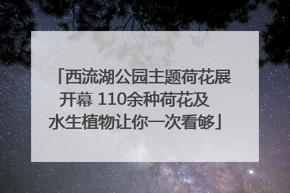 西流湖公园主题荷花展开幕 110余种荷花及水生植物让你一次看够