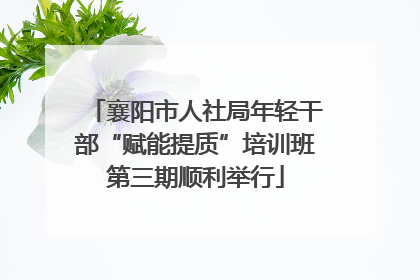 襄阳市人社局年轻干部“赋能提质”培训班第三期顺利举行