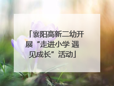 襄阳高新二幼开展“走进小学 遇见成长”活动