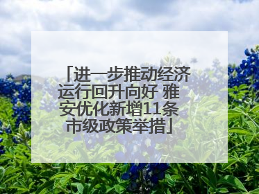 进一步推动经济运行回升向好 雅安优化新增11条市级政策举措