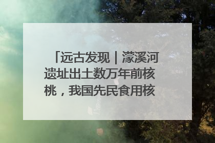远古发现｜濛溪河遗址出土数万年前核桃，我国先民食用核桃历史大幅提前