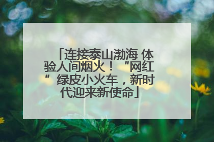 连接泰山渤海 体验人间烟火！“网红”绿皮小火车，新时代迎来新使命