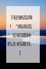轻便高效！“南漳造”旱稻播种机走俏湖北