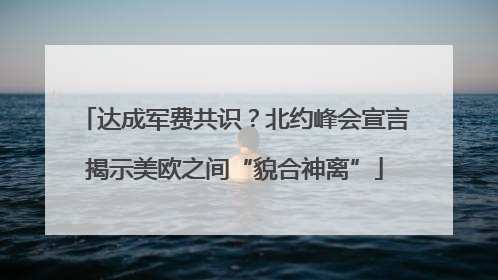 达成军费共识？北约峰会宣言揭示美欧之间“貌合神离”