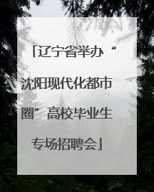 辽宁省举办“沈阳现代化都市圈”高校毕业生专场招聘会