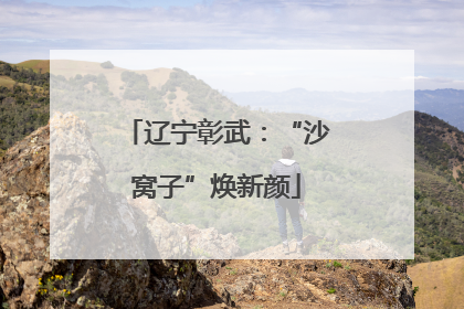 辽宁彰武：“沙窝子”焕新颜