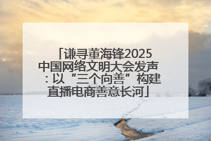 谦寻董海锋2025中国网络文明大会发声：以“三个向善”构建直播电商善意长河