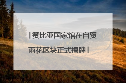 赞比亚国家馆在自贸雨花区块正式揭牌