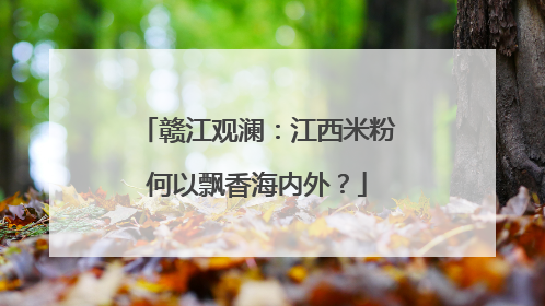赣江观澜：江西米粉何以飘香海内外？