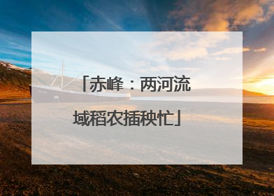 赤峰：两河流域稻农插秧忙