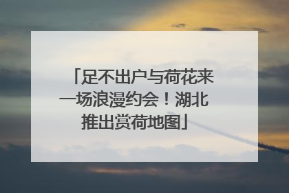 足不出户与荷花来一场浪漫约会！湖北推出赏荷地图