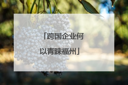 跨国企业何以青睐福州