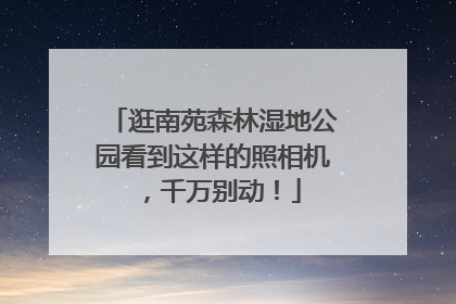 逛南苑森林湿地公园看到这样的照相机，千万别动！