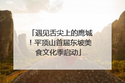 遇见舌尖上的鹰城！平顶山首届东坡美食文化季启动