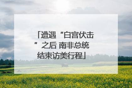 遭遇“白宫伏击”之后 南非总统结束访美行程