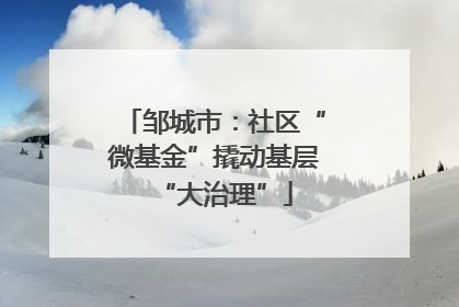 邹城市：社区“微基金”撬动基层“大治理”