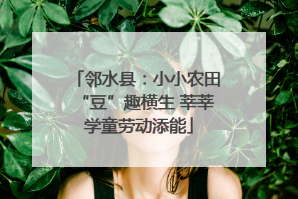 邻水县：小小农田“豆”趣横生 莘莘学童劳动添能