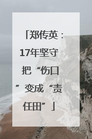 郑传英：17年坚守 把“伤口”变成“责任田”