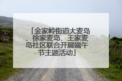 金家岭街道大麦岛、徐家麦岛、王家麦岛社区联合开展端午节主题活动