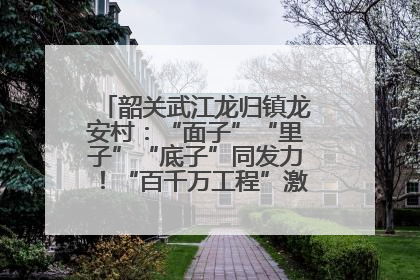 韶关武江龙归镇龙安村：“面子”“里子”“底子”同发力！“百千万工程”激活乡村新动能