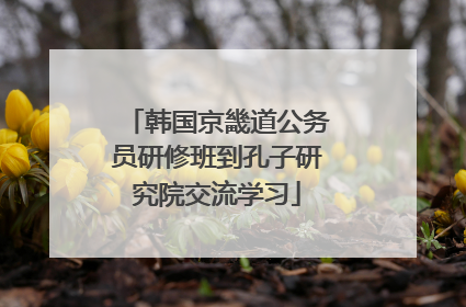 韩国京畿道公务员研修班到孔子研究院交流学习