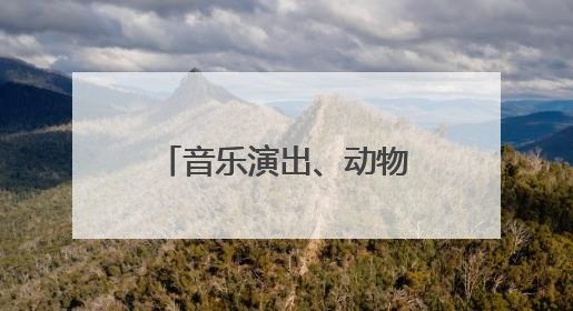 音乐演出、动物生日会，北京市属公园举办端午节、儿童节游园活动