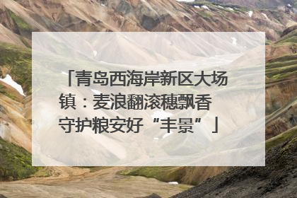 青岛西海岸新区大场镇：麦浪翻滚穗飘香 守护粮安好“丰景”