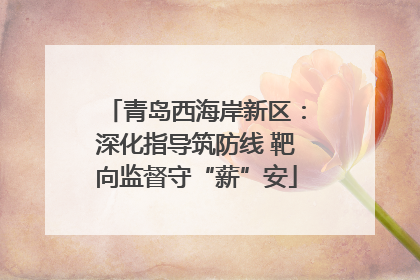 青岛西海岸新区：深化指导筑防线 靶向监督守“薪”安