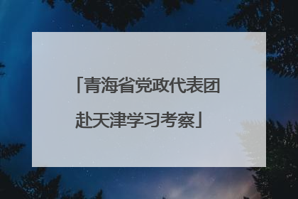 青海省党政代表团赴天津学习考察