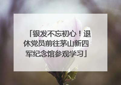 银发不忘初心！退休党员前往茅山新四军纪念馆参观学习