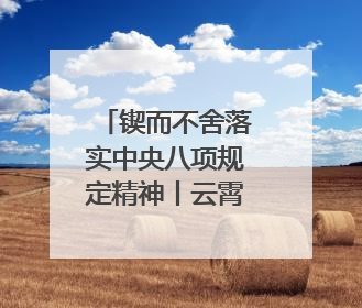 锲而不舍落实中央八项规定精神丨云霄：纠树并举扬正气 作风建设谱新章